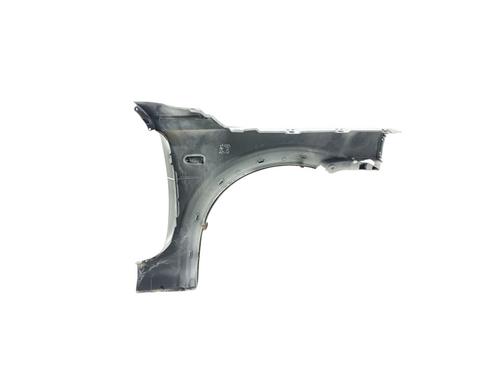 Left front fenders LAND ROVER FREELANDER I (L314)  | BP25712783C41 