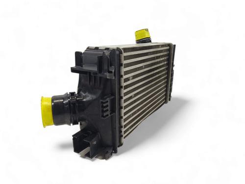 Intercooler NISSAN MICRA III (K12)  | BP16172444M30 