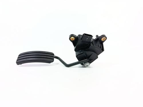 Pedal RENAULT SCÉNIC II (JM0/1_)  | BP29550246I4 