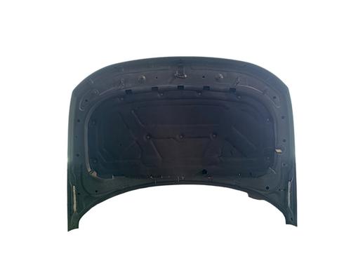 Hood LAND ROVER DISCOVERY III (L319) 2.7 TD 4x4 | BP20241746C1 