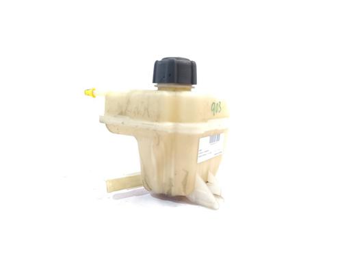 Used Expansion tank NISSAN QASHQAI / QASHQAI +2 I (J10, NJ10, JJ10E) [2006-2014]  22412425