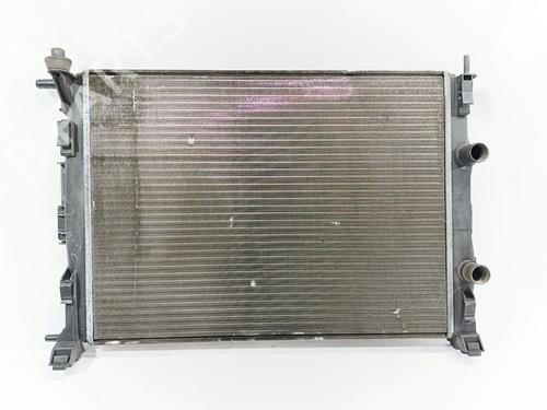 Køler RENAULT MEGANE II (BM0/1_, CM0/1_) [2001-2012]  28306260