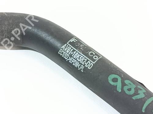 Pipe FORD C-MAX II (DXA/CB7, DXA/CEU)  | BP30055137M125 