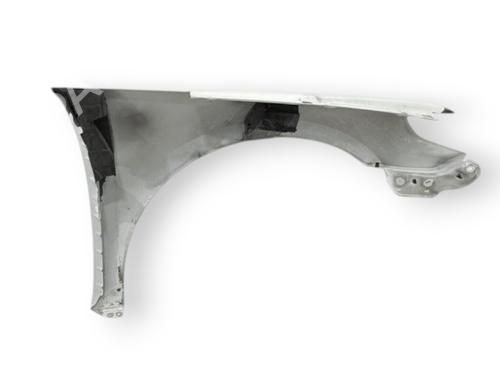 Right front fenders VW PASSAT CC B6 (357) 2.0 TDI | BP28593148C42 