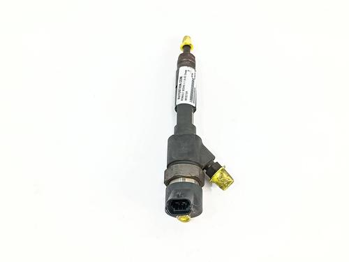 Injector RENAULT SCÉNIC II (JM0/1_)  | BP29392648M100 