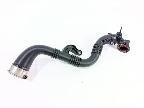 Pijp RENAULT MEGANE IV Hatchback (B9A/M/N_) 1.2 TCe 100 (B9MS) (100 hp) 29056441