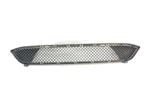 Used Grille BMW X1 (E84) sDrive 16 d (116 hp) 24812034