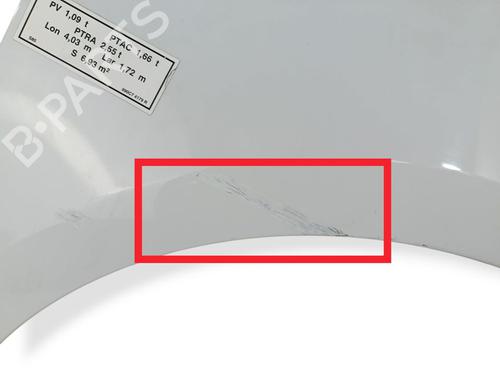 Right front fenders RENAULT CLIO III (BR0/1, CR0/1) 1.5 dCi | BP32160194C42