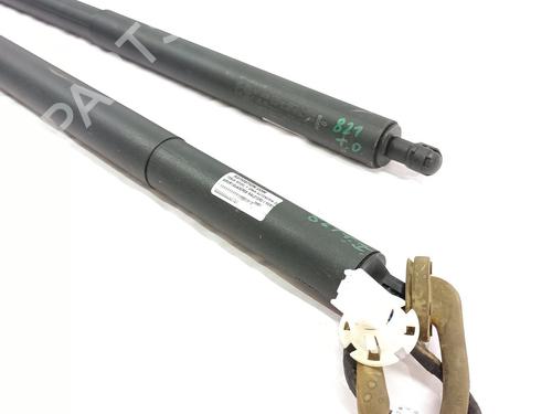 Tailgate lift support TESLA MODEL Y (5YJY)  | BP29531025C138 