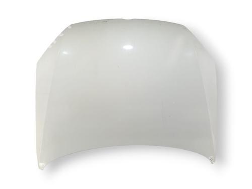 Panser VW PASSAT B7 Variant (365) 2.0 TDI (140 hp) 29700141