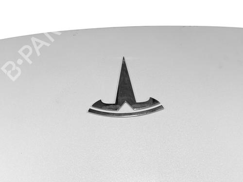 Capot TESLA MODEL Y (5YJY)  | BP32177883C1 