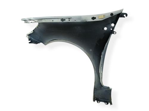 Right front fenders RENAULT CLIO III (BR0/1, CR0/1) 1.5 dCi | BP32160194C42