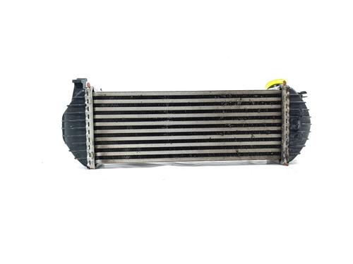 Intercooler MERCEDES-BENZ CITAN MPV (W415) 111 CDI (415.703, 415.705) | BP17471370M30 