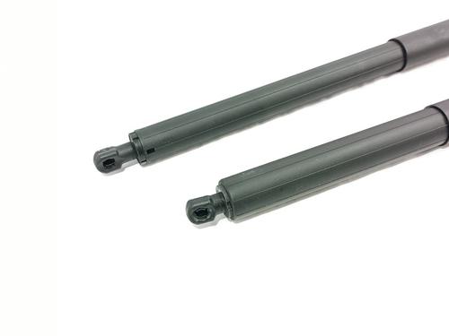 Tailgate lift support TESLA MODEL Y (5YJY)  | BP29531025C138 