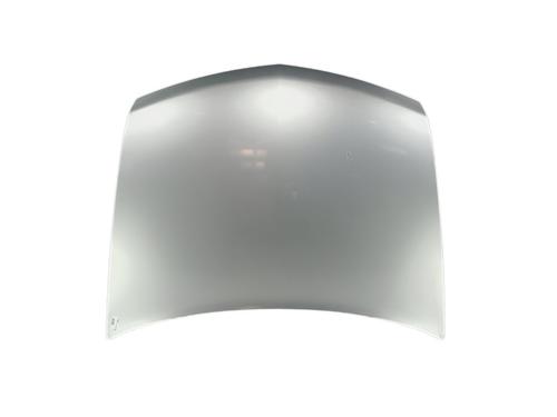 Used Hood RENAULT VEL SATIS (BJ0_) [2002-2025]  29700907