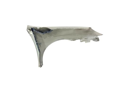Left front fenders CITROËN C5 II (RC_) 1.6 HDi (RC8HZB) | BP25712682C41 
