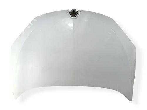 hood-renault-megane-iii-hatchback-bz01_-b3_-2008-33926943 main image
