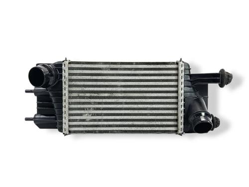 Intercooler NISSAN JUKE (F15) [2010-2019]  33163009