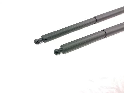 Tailgate lift support TESLA MODEL Y (5YJY)  | BP29531025C138 