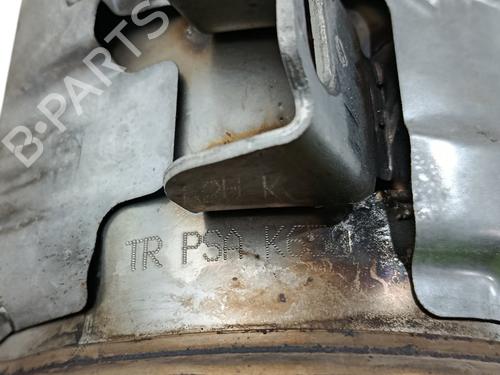 Particulate filter CITROËN C3 II (SC_)  | BP32009518M81 