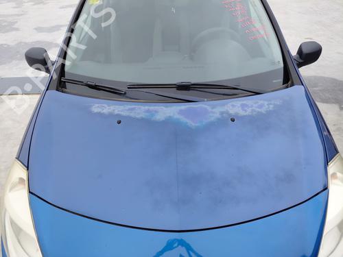 Used Hood RENAULT CLIO III (BR0/1, CR0/1) 1.2 16V (BR02, BR0J, BR11, CR02, CR0J, CR11) (75 hp) 27340407