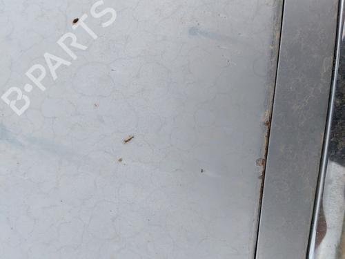 Hood SKODA FABIA I (6Y2) 1.9 SDI | BP26884946C1 