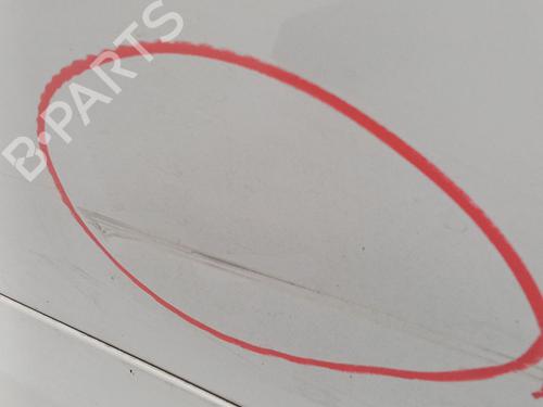 Right front door RENAULT SCÉNIC III (JZ0/1_) 1.5 dCi (JZ02, JZ0R) | BP31189816C3 