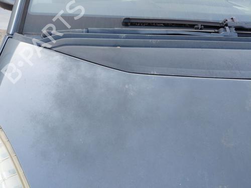 Hood CITROËN C4 Grand Picasso I (UA_) 1.6 HDi | BP27273155C1