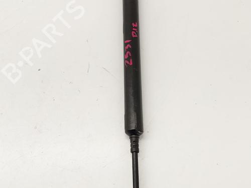 hingedoor-check-strap-porsche-panamera-970-2009-2010-2011-2012-2013-2014-2015-2016-2017-32473827 main image