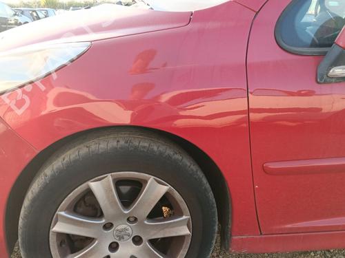 Parafango anteriore sinistro Parafango anteriore sinistro PEUGEOT 207 (WA_, WC_) 1.6 HDi (90 hp) 37024268 37024268