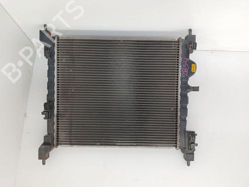 Radiateur Radiateur 39074813 39074813