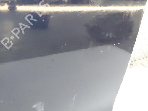 Left front door MERCEDES-BENZ S-CLASS (W221, V221) S 350 CDI 4-matic (221.080, 221.180) | BP17628501C2 