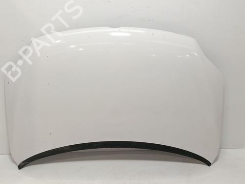 Used Hood VW GOLF PLUS V (5M1, 521) 1.6 TDI (105 hp) 29851056