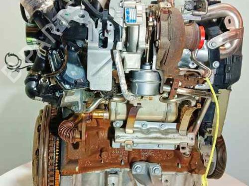 Engine NISSAN QASHQAI II (J11, J11_) 1.5 dCi | BP22182029M1 