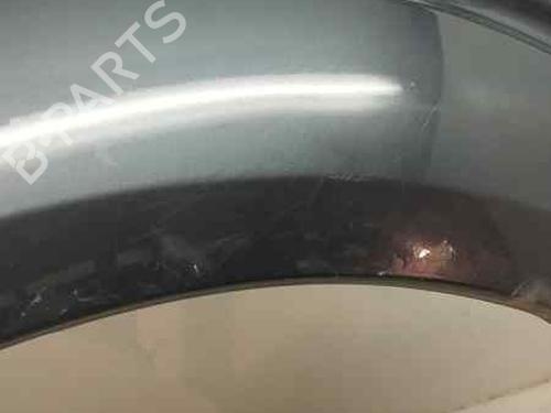 Left front fenders NISSAN PATHFINDER III (R51)  | BP22650635C41 