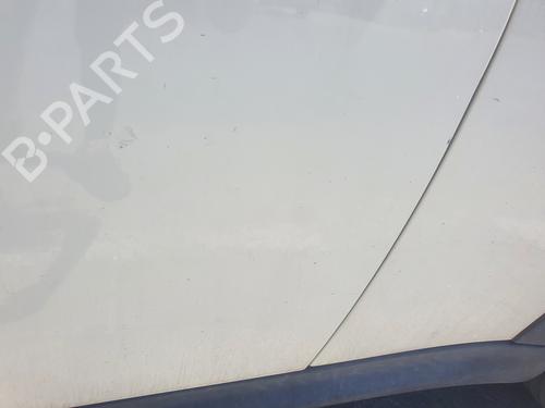 Left front door MINI MINI (R56)  | BP19414148C2 