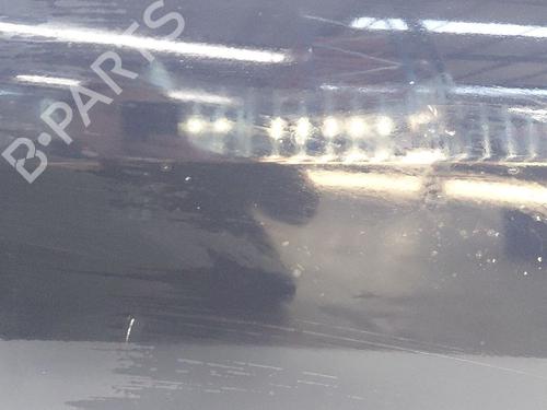 Left front door MERCEDES-BENZ S-CLASS (W221, V221) S 350 CDI 4-matic (221.080, 221.180) | BP17628501C2 