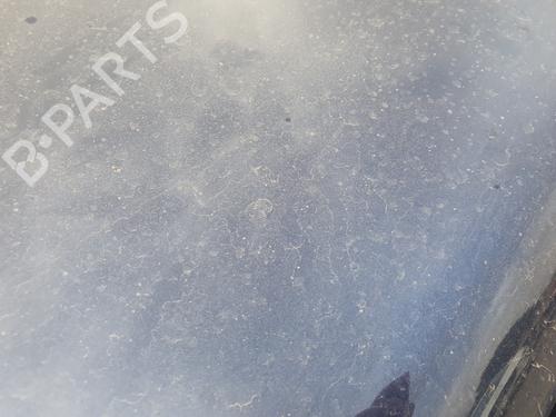Panser VW TOUAREG (7LA, 7L6, 7L7)  | BP19122643C1 
