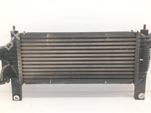 Intercooler NISSAN PATHFINDER III (R51) | BP31907010M30