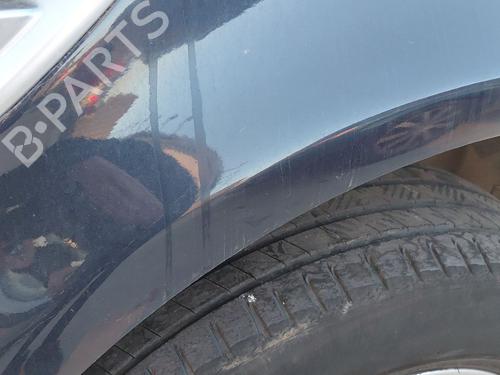 Right front fenders LAND ROVER FREELANDER 2 (L359) 2.2 eD4 | BP29490496C42 