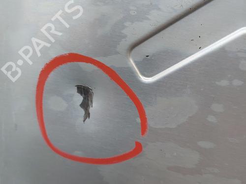 Battery DACIA DUSTER (P1310)  | BP27341357E11 