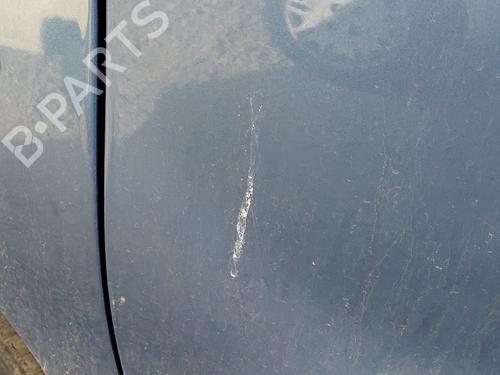 Left front door CITROËN BERLINGO MULTISPACE (B9) 1.6 HDi 90 | BP29001613C2 