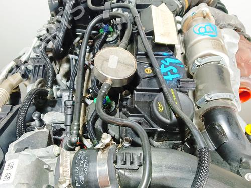 Engine FORD FOCUS III  | BP15978603M1 
