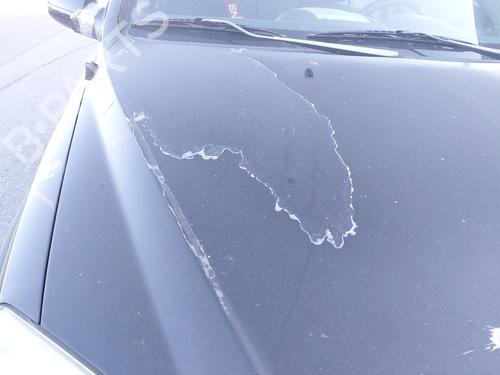 Hood KIA SORENTO I (JC) 2.5 CRDi 4WD | BP26691874C1 