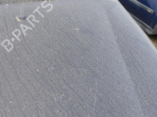 Hood FIAT BRAVO II (198_) 1.9 D Multijet (198AXB1A) | BP28210411C1