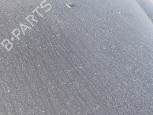 Hood FIAT BRAVO II (198_) 1.9 D Multijet (198AXB1A) | BP28210411C1