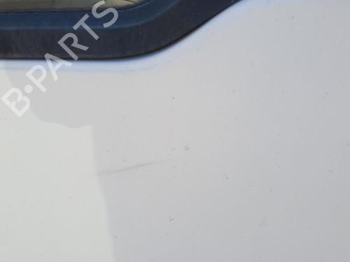 Left front door FORD TRANSIT CONNECT (P65_, P70_, P80_) 1.8 Di | BP24841896C2 