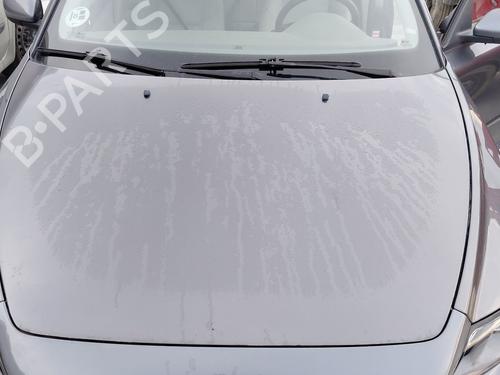 BP31598956C1 main image