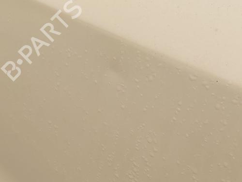 Left front door FIAT PANDA (169_) 1.2 (169.AXB11, 169.AXB1A) | BP31993719C2