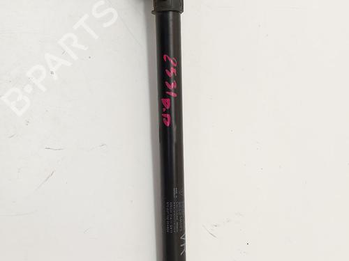 hingedoor-check-strap-porsche-panamera-970-2009-2010-2011-2012-2013-2014-2015-2016-2017-32473826 main image